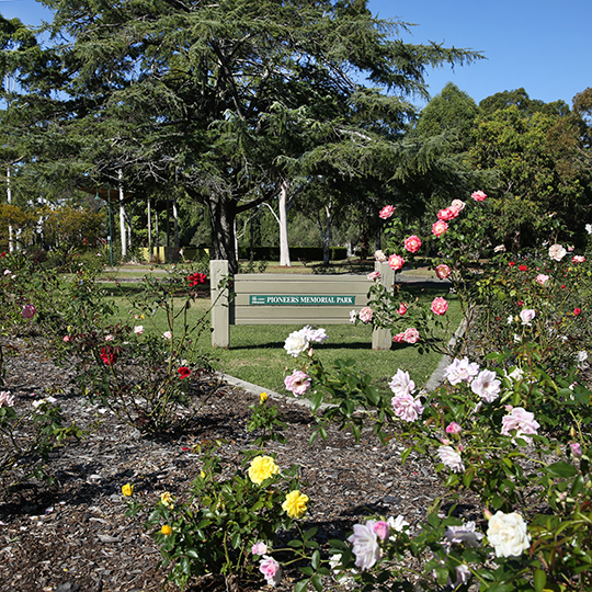 Pioneers Memorial Park rose garden 
